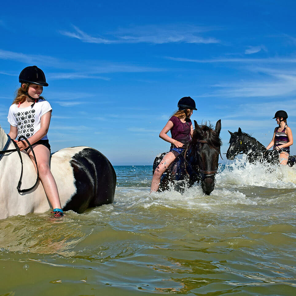 Activiteiten Voor Jongeren Op Terschelling - Jongerencamping Appelhof